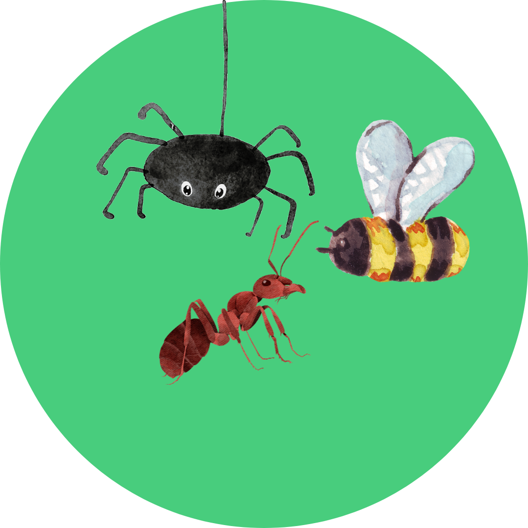 Kriebelfeestjes Festival (live)